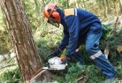 Styxtree-cutting-services-21.jpg; ?>